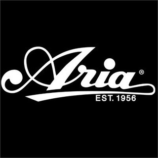 Aria Guitars