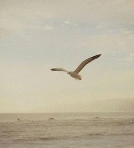 indie, instrumental and chill